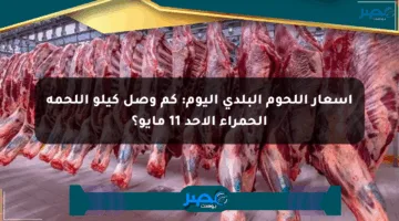 أسعار اللحوم البلدي اليوم: كم وصل كيلو اللحمة الحمراء الأحد 11 مايو؟